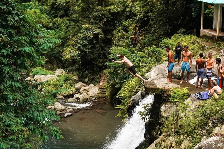 Munduk/Lovina: Waterfall, Snorkeling &amp; Dolphin Watching TourAll-Inclusive Tour with Hotel Transfer from Munduk/Lovina