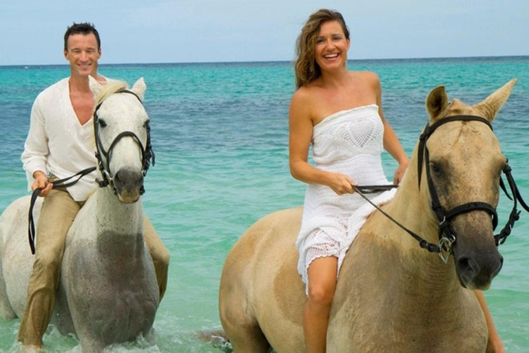 Saint Lucia Horseback Riding: Explore the Island in Style