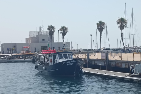 Cascais: Sunset Cruise to Lisbon with Open Bar