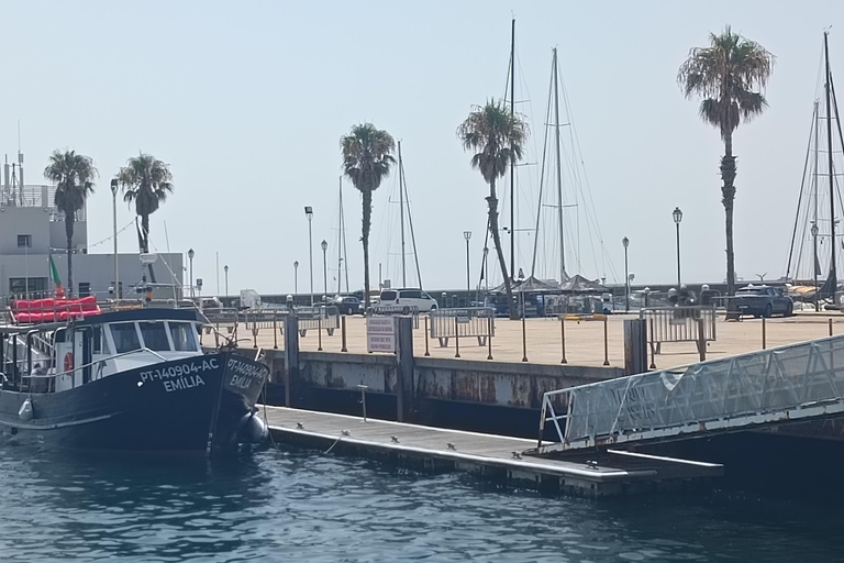 Cascais: Sunset Cruise to Lisbon with Open Bar