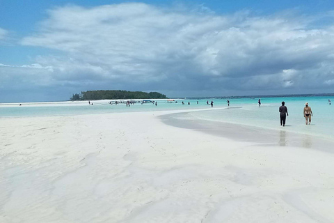 ZANZIBAR: Foresta di Jozani e snorkeling con i delfini a Mnemba con barbecueTOUR PRIVATO SENZA SERVIZIO DI PRELIEVO E RIENTRO IN HOTEL