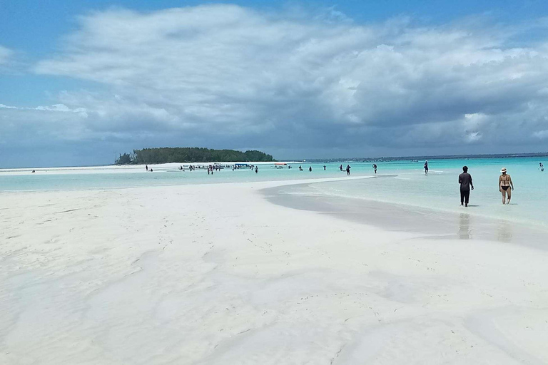 ZANZIBAR: Foresta di Jozani e snorkeling con i delfini a Mnemba con barbecueTOUR PRIVATO SENZA SERVIZIO DI PRELIEVO E RIENTRO IN HOTEL