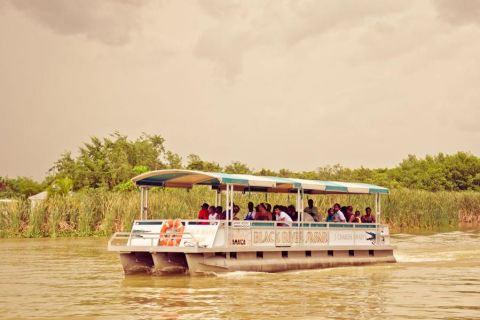 Black River Safari Tour from Montego Bay