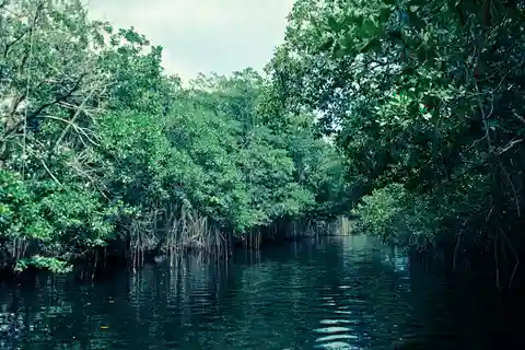 Black River Safari Tour from Montego Bay