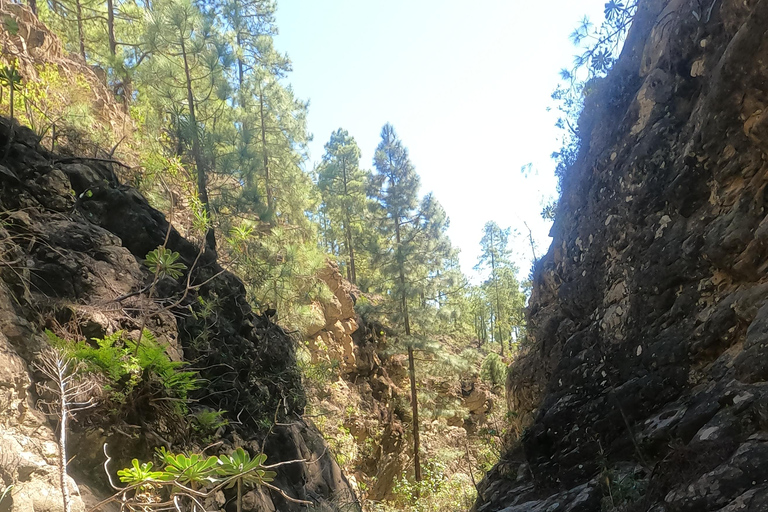 Cañón de Albalderos