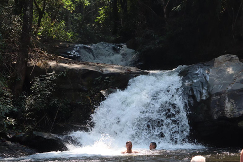 Chiang Mai: Mae Ya Waterfall & Pha Dok Siew Trail Trek Small Group Tour With Meeting Point Pickup