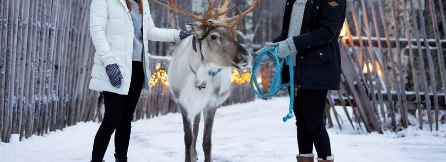 Kemi-Tornio : expérience dans une ferme d'élevage de rennes