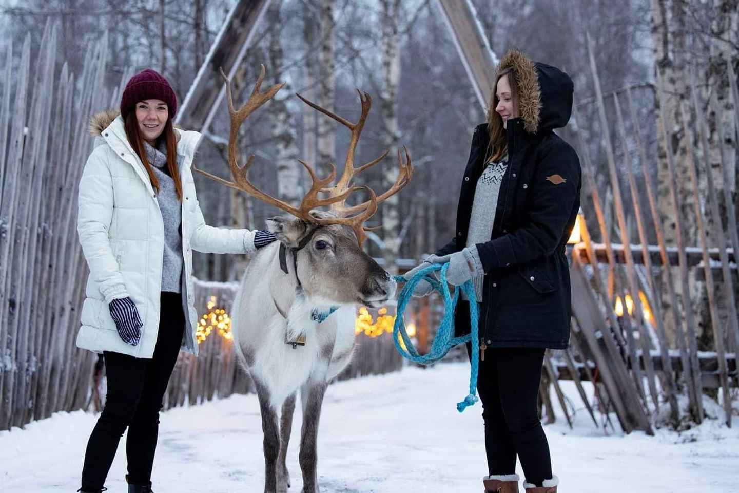 Kemi-Tornio: Reindeer farm experience