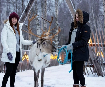 Kemi-Tornio: Reindeer farm experience