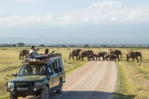 Mombasa: Safari de 6 días por Tsavo Oeste, Tsavo Este y Amboseli