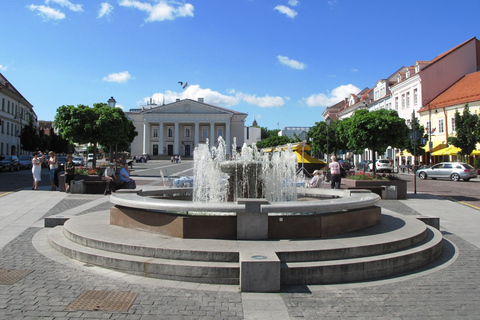 Vilnius: Sightseeing Audio Tour