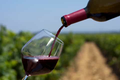 Discover Brandywine Valley: Private Driving Tour