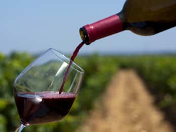 Brandywine Valley: Private Tour Brandywine Valley: Private Tour
