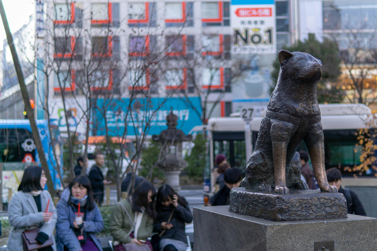 Tokyo: Shibuya Sky Sunset Entry & Night Walking Tour