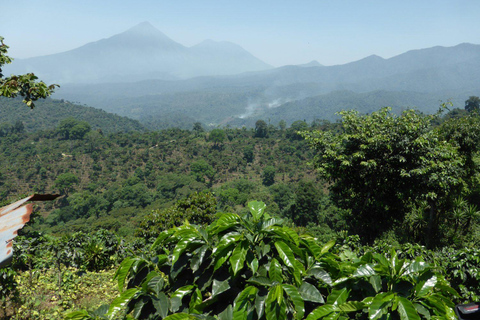Beyond the Retreat: A Journey Through Guatemala
