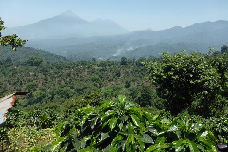 Beyond the Retreat: A Journey Through Guatemala