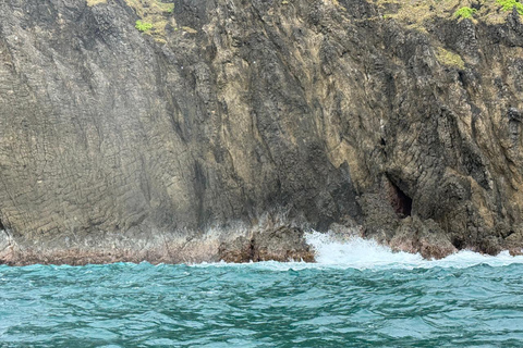 Banyuwangi:Day Tour of Jungle & Bedil Island With Snorkeling