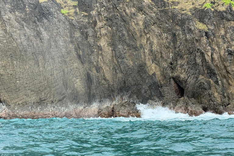 Banyuwangi:Day Tour of Jungle & Bedil Island With Snorkeling