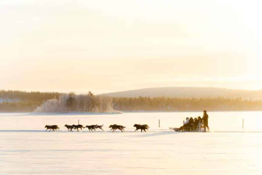 Rovaniemi: Insider 10 km Husky-Schlittenfahrt. Foto: GetYourGuide