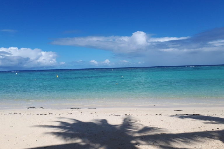 Mauritius: Private Northern Highlights Tour with Turtle Swim