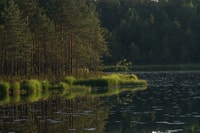 Nuuksio National Park, Half-Day Trip from Helsinki - Housity