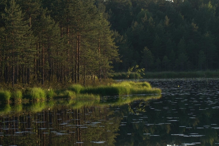 Nuuksio-Nationalpark: Halbtagestour ab HelsinkiStandardoption