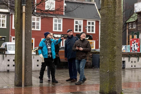 Reykjavik: zwiedzanie pieszą wycieczką z wikingiem