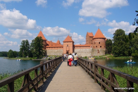 Vilnius: Half-Day Sightseeing Tour to Trakai