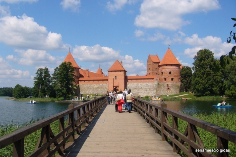 Vilnius: Half-Day Sightseeing Tour to Trakai