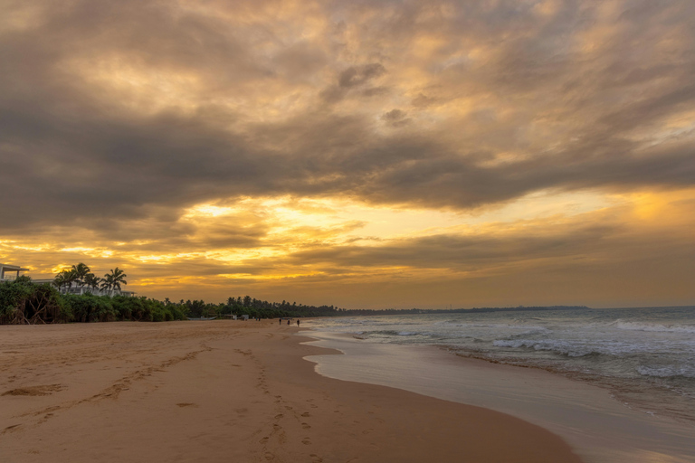 Colombo to Bentota Day Tour