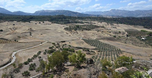 From Malaga: Ronda y Setenil de la Bodegas Day Trip by coach