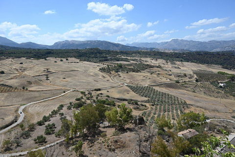 De Málaga: Viagem de 1 dia a Ronda e Setenil de la Bodegas de ônibus