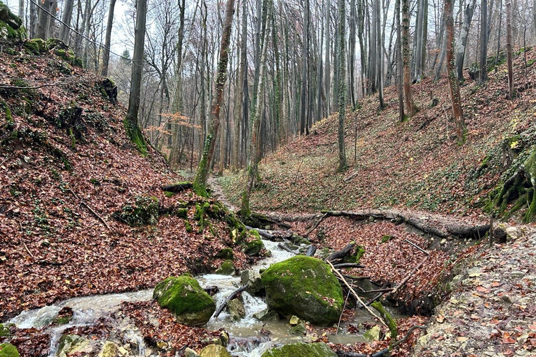 Stuttgart: Hike & Science Info on the Solar System, Galaxies & Universe