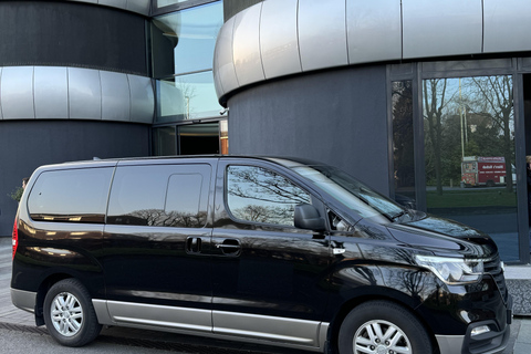 Southampton: Prywatny transfer minibusem do Londynu