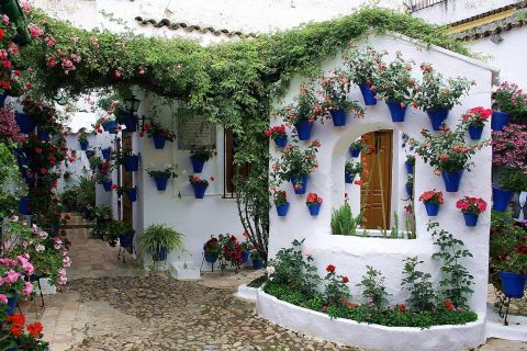 Sights, Sounds, and Scents of Córdoba's Patios