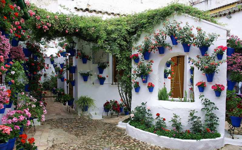 Sights, Sounds, and Scents of Córdoba's Patios