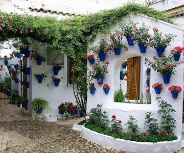 Sights, Sounds, and Scents of Córdoba's Patios
