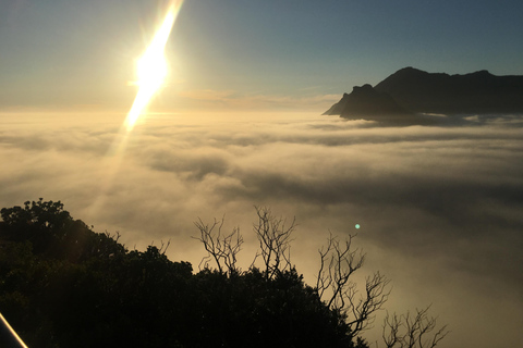 From Cape Town: Cape of Good Hope and Penguins Shared Tour