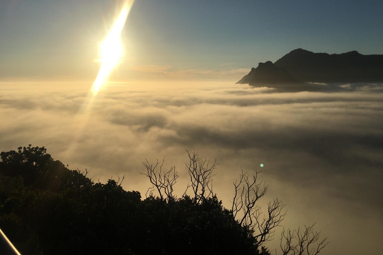 Kaapstad: Kaap de Goede Hoop &amp; Pinguïns Dagvullende tour met gids