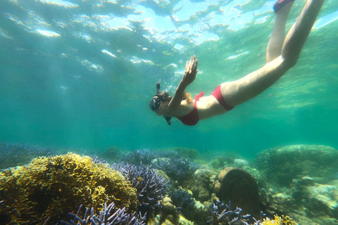 Excursion exclusive de pêche et de plongée en apnée à Lombok à travers 4 gilis