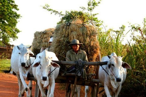 Siem Reap: 3-Hour Ancient Trails Motorbike Tour