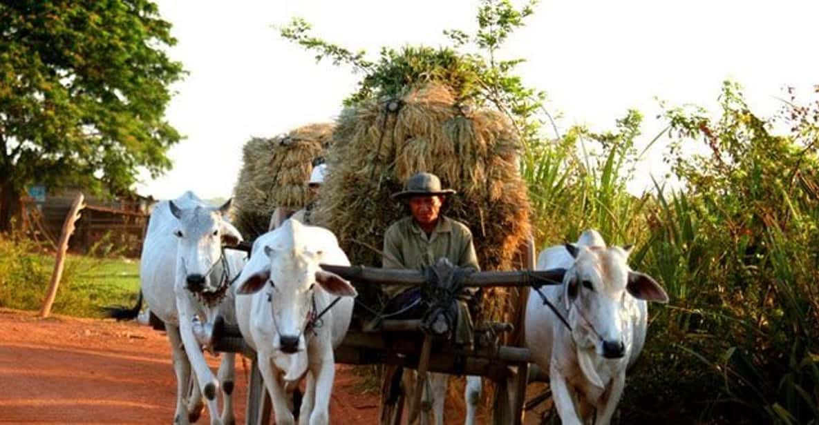 Siem Reap: 3-Hour Ancient Trails Motorbike Tour