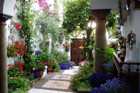 Córdoba: tour a pie por los patios de flores