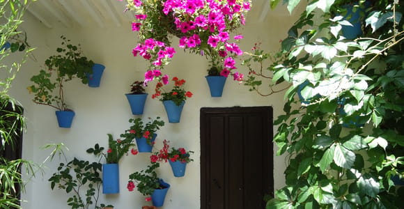 Cordoba: Patios & Wine Tasting