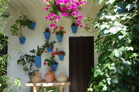 Cordoba: Patios & Flowers Private Walking Tour