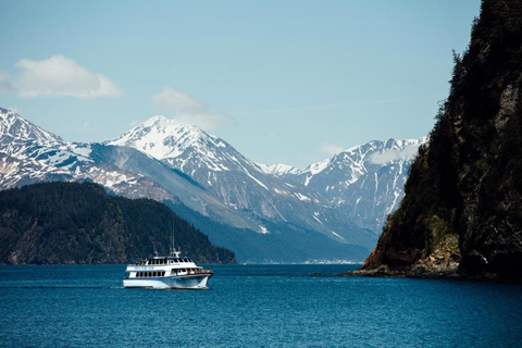 Seward: Kenai Fjords National Park Glacier & Wildlife Cruise