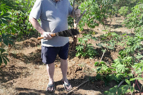 Sikituru Village Tour with Kava Ceremony & Temple Visit