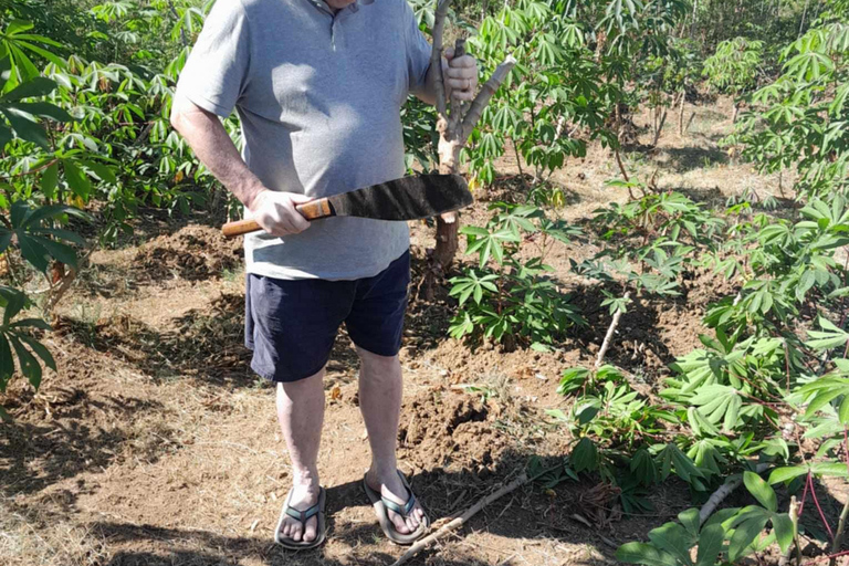 Sikituru Village Tour with Kava Ceremony & Temple Visit