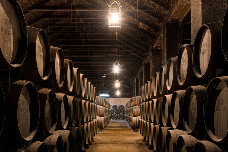 Montilla, Cordoba: Bodegas Alvear Winery Tour & Wine Tasting Bodegas Alvear Winery Tour & 5-Wine Tasting Spanish