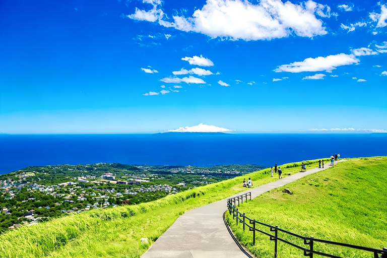 Small Group Day Tour:Omuro Mountain & the Izu Scenic Railway Hotel Transfer Option